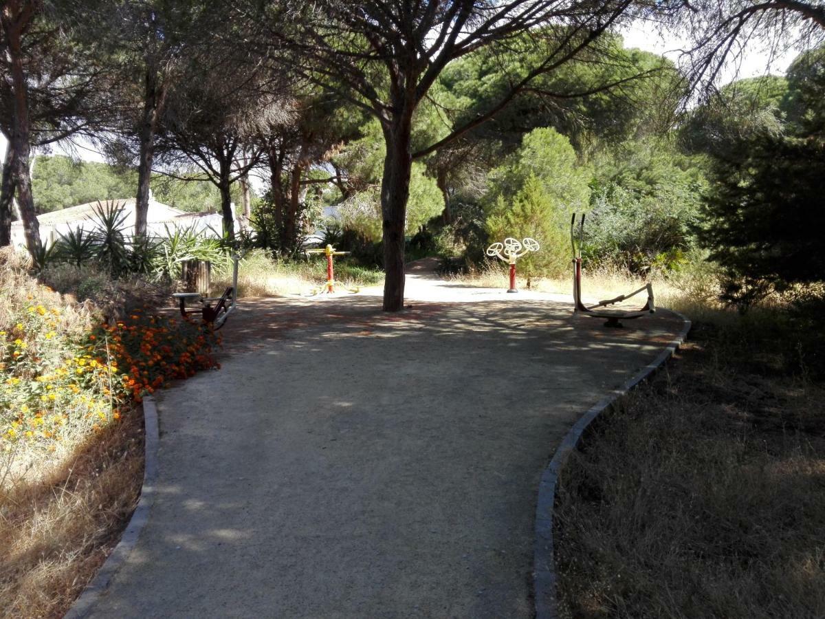 Apartamento En Los Patios De Santa Maria Golf Marbella Exterior foto